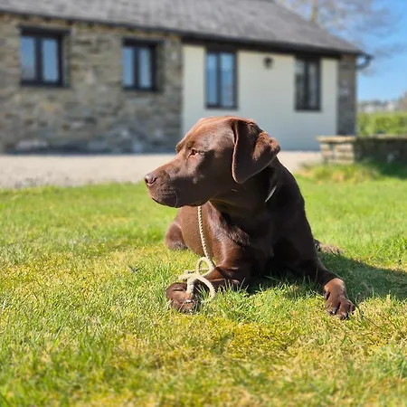 Holiday home Lovely Little Garden Cottage, Tamar Valley, Cornwall *